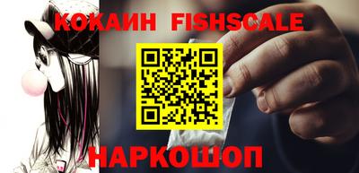 крисы Сланцы