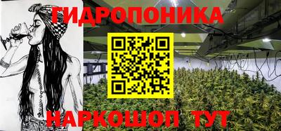 крисы Сланцы
